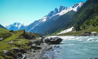 Kashmir Delight: 04 Nights & 05 Days Itinerary
